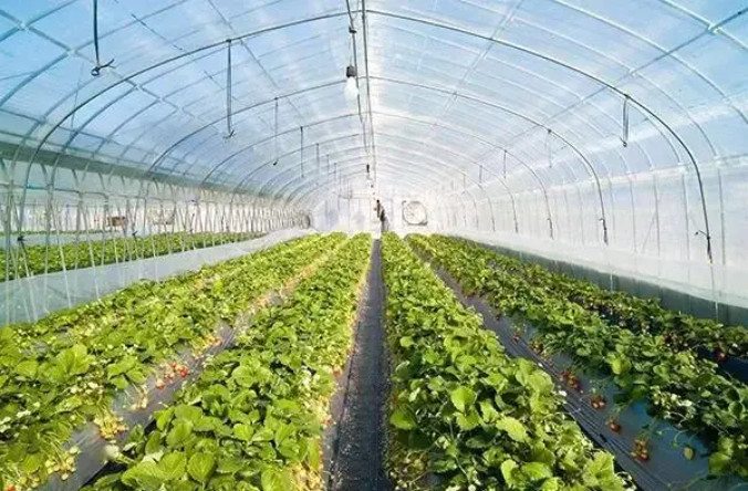 有機肥建廠，選原料和輔料一定得考慮這些……