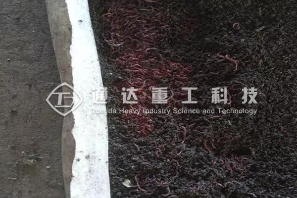 印度：蚯蚓把城市有機(jī)垃圾變成絕佳肥料