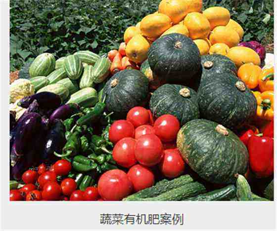 農(nóng)業(yè)步入新階段，有機(jī)肥設(shè)備大力推動(dòng)畜牧業(yè)綠色循環(huán)發(fā)展